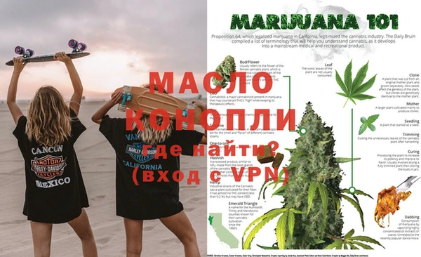 гидра Краснослободск