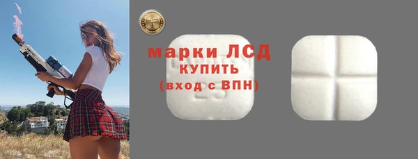 гидра Краснослободск
