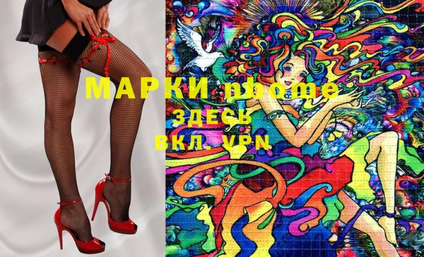 гидра Краснослободск