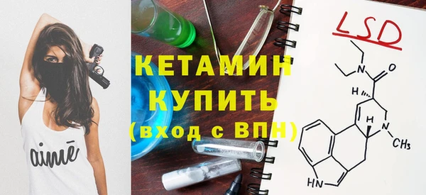 сатива Корсаков