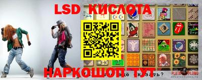 стафф Аргун