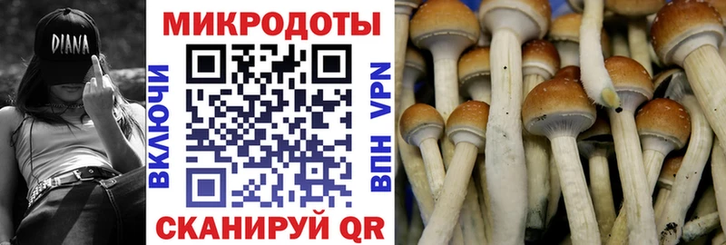 Псилоцибиновые грибы MAGIC MUSHROOMS  Мелеуз 