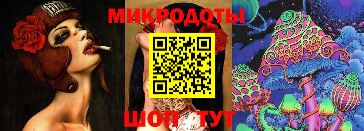 Галлюциногенные грибы Psilocybe Мелеуз